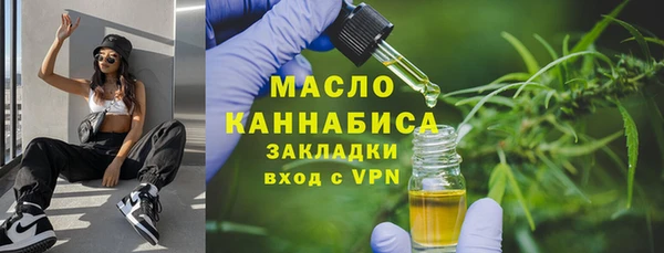 МДПВ Инта