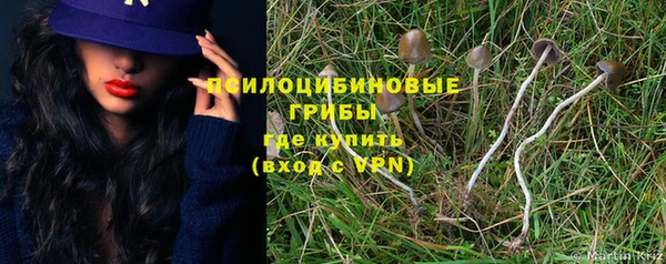 гидропоника Иннополис