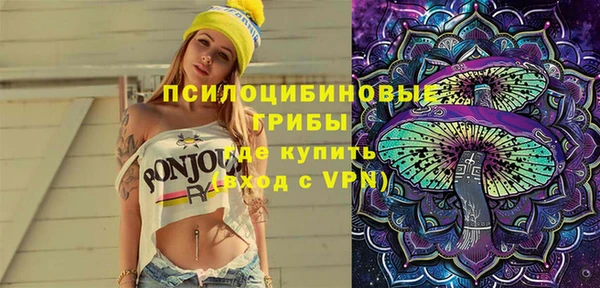 МДПВ Инта