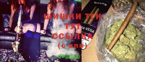 гидропоника Иннополис