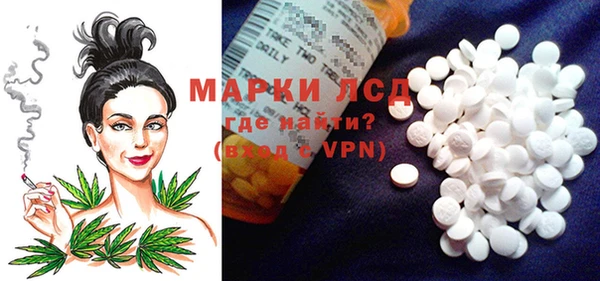гидропоника Иннополис