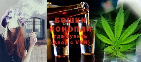 гидропоника Иннополис