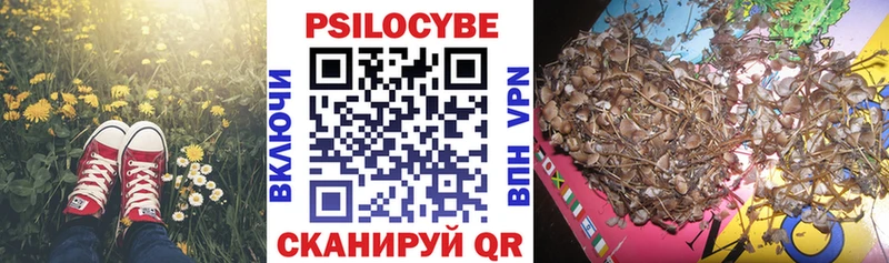 Псилоцибиновые грибы Magic Shrooms  Купить закладки  Салехард 